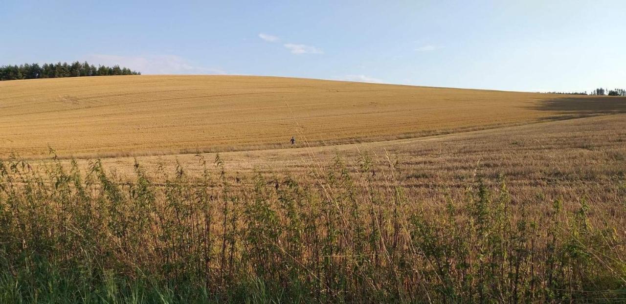 Agroturystyka Agat Willa Lwowek Slaski Zewnętrze zdjęcie