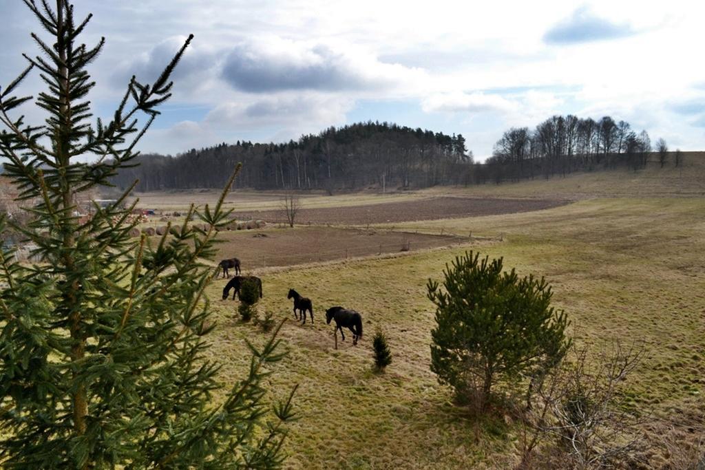 Agroturystyka Agat Willa Lwowek Slaski Zewnętrze zdjęcie